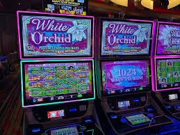Studio produksi Money Train kuatbet dengan dealer langsung dan multi-kamera HD